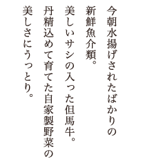 gꂽ΂̐VNށBTV̓AnBO߂ĈĂƐ؂̔ɂƂB