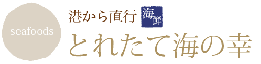 `璼sƂꂽĊC̍K